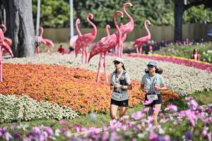 BIB: 
                            <button type="button" onclick="openModal(27793524)" class="btn btn-primary btn-sm float-right btn-popup" data-toggle="modal" data-target=".modal-high-quality">
                        <i class="fas fa-shopping-cart"></i> Add to Cart
                    </button>
                                            <button type="button" onclick="isThisMe(27793524, true)" class="btn btn-success btn-sm float-right btn-popup btn-isme hidden" data-toggle="tooltip" data-placement="bottom" title="นี่คือรูปของคุณใช่ไหม คลิกที่นี่เพื่อเอาเข้าอัลบั้ม">
                        <i class="fas fa-plus"></i> Add to album
                    </button>
                    <button type="button" onclick="isThisMe(27793524, false)" class="btn btn-warning btn-sm float-right btn-popup btn-isnotme hidden">
                        <i class="fas fa-ban"></i> Remove from album
                    </button>